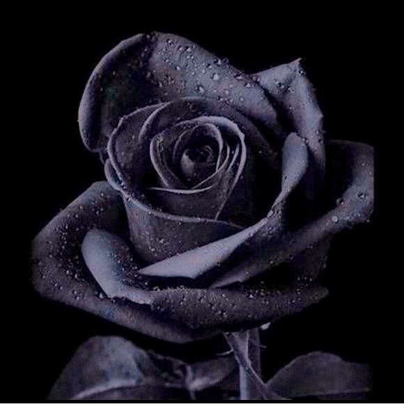 ▪️MARC JACOBS Long Pleated Charcoal Skirt ~ Attached Slip ~ One of a Kind~ Lux - Picture 13 of 16